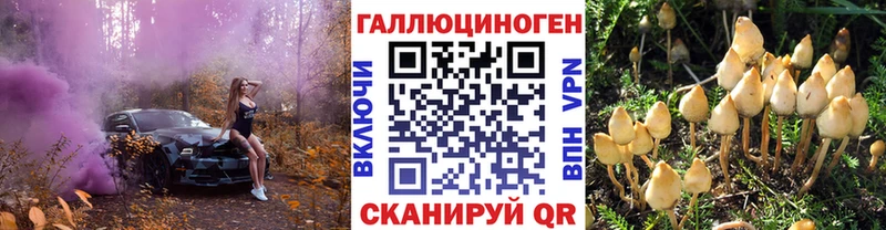 Псилоцибиновые грибы Magic Shrooms  купить наркотики сайты  Салаир 